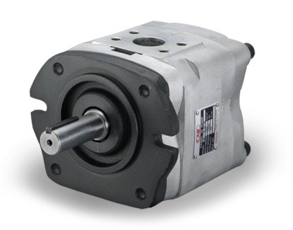 IGC Internal Gear Pump